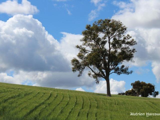 Property for sale in Western Australia