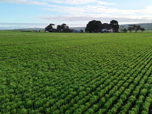 Cottage for sale in Snowtown, South Australia
