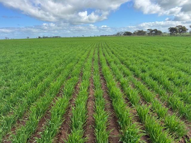 Property for sale in Ultima, Victoria