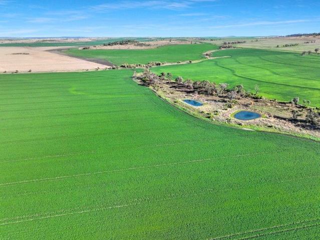 Cottage for sale in Croppa Creek, New South Wales