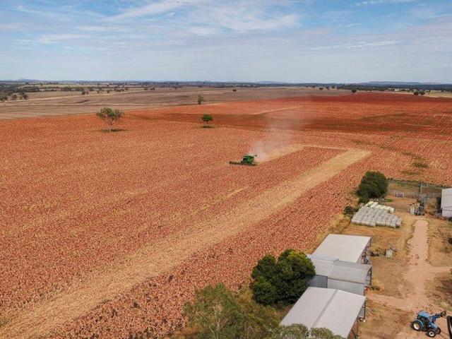 Cottage for sale in Inverell, New South Wales