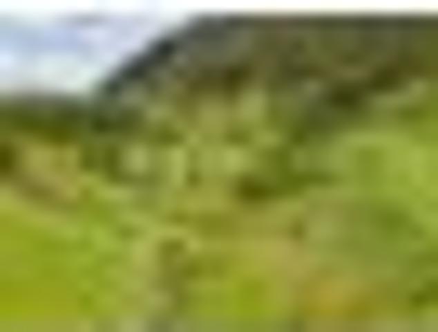 House for sale in Tasman