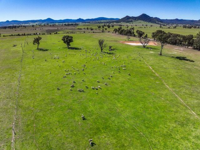 Land for sale in Milroy, New South Wales
