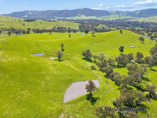 Acreage for sale in Homewood, Shire of Murrindindi