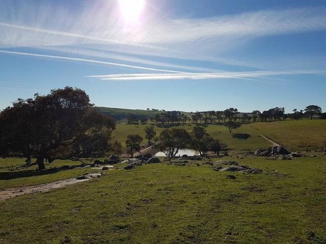 Cottage for sale in Biala, New South Wales