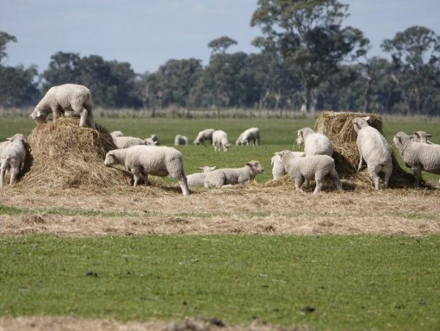 Cottage for sale in Strathdownie, Victoria