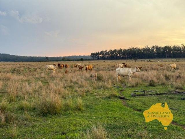Cottage for sale in Monogorilby, Queensland
