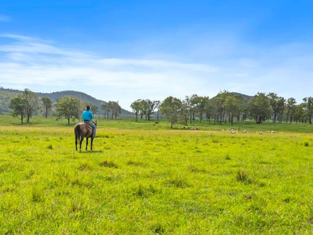 Land for sale in Lower Wonga, Queensland