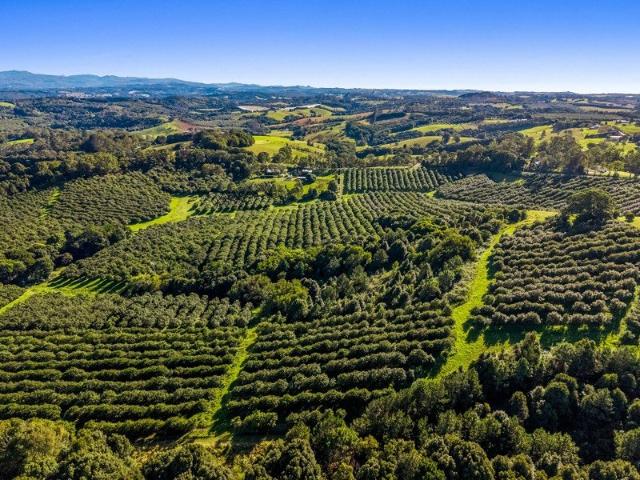Cottage for sale in Pearces Creek, New South Wales