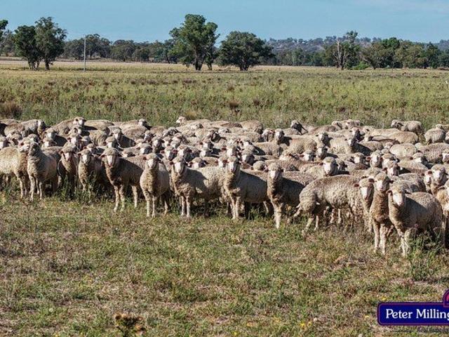 Property for sale in Goolma, New South Wales