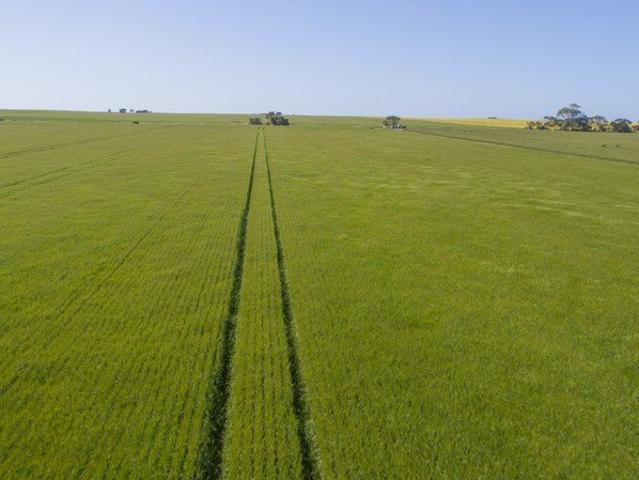 Cottage for sale in Minlaton, South Australia
