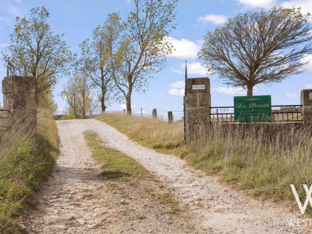 Land for sale in Newbridge, New South Wales