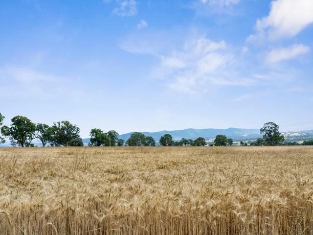 Property for sale in Barwite, Victoria