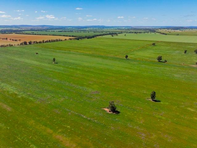 Cottage for sale in Ardlethan, New South Wales