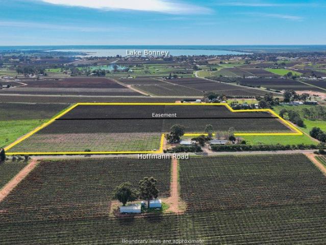 Property for sale in Loveday, South Australia