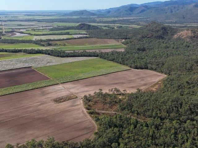 Acreage for sale in Hinchinbrook, Queensland