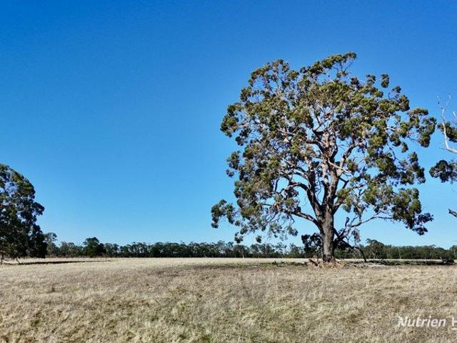 Acreage for sale in Digby, Victoria