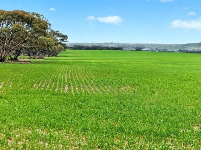 Property for sale in Goyder, South Australia