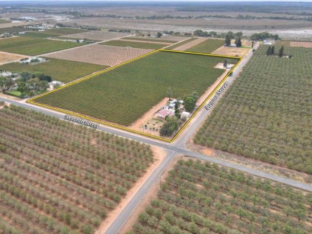 House for sale in Renmark North, South Australia
