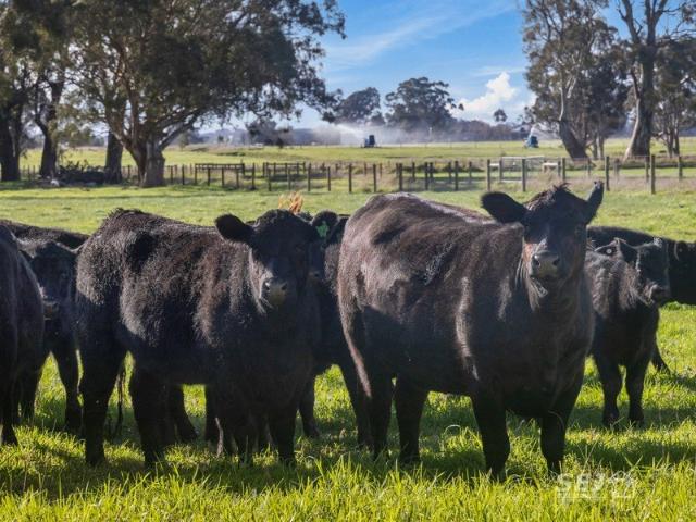 Acreage for sale in Kilmany, Victoria