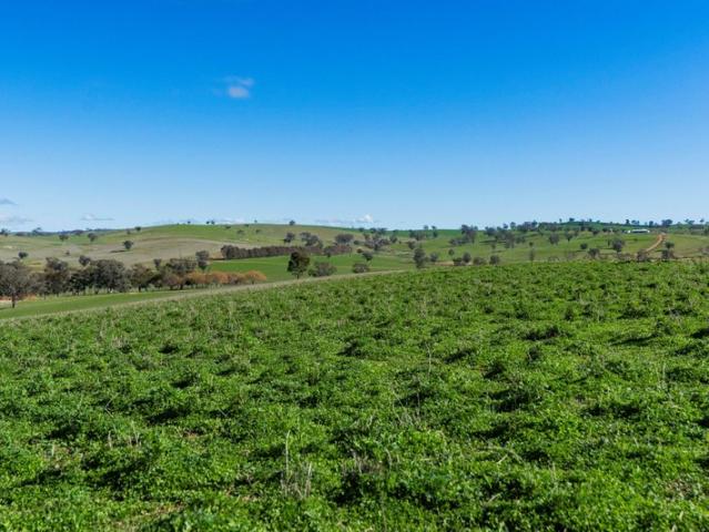 Property for sale in Belfrayden, New South Wales