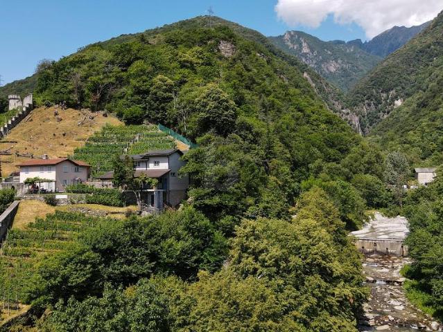 Immobilie mieten in Bellinzona, Tessin
