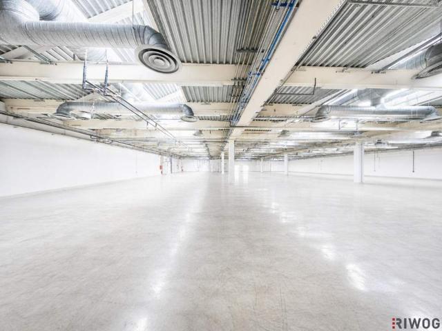 Gewerbe mieten in Korneuburg, Niederösterreich