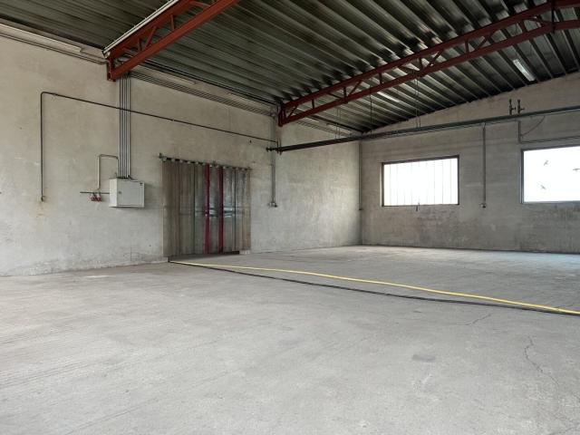 Gewerbe mieten in Eggendorf, Niederösterreich