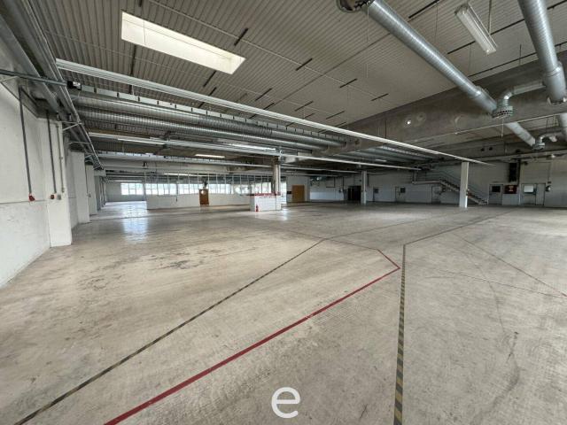 Gewerbe mieten in Regau, Oberösterreich