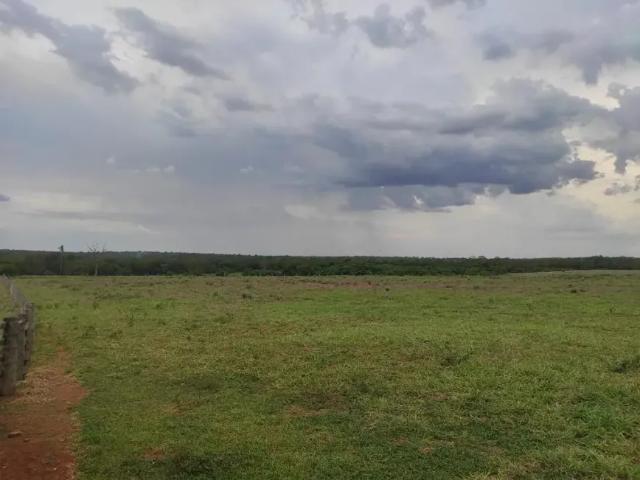 Fazenda venda em Região Geográfica Imediata de Jardim, Guia Lopes da Laguna