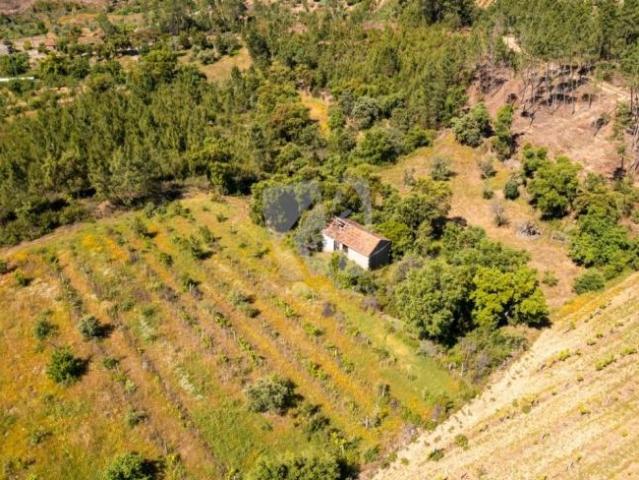Terreno venda em Castelo Branco, Proença-a-nova