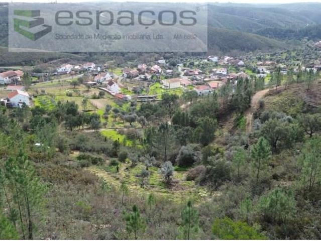 Terreno venda em Castelo Branco, Proença-a-nova