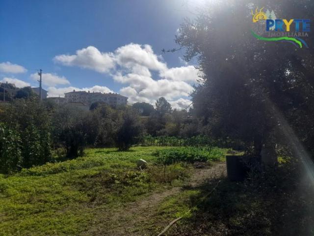 Terreno venda em Castelo Branco, Proença-a-nova
