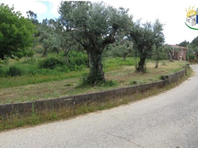 Terreno venda em Castelo Branco, Proença-a-nova
