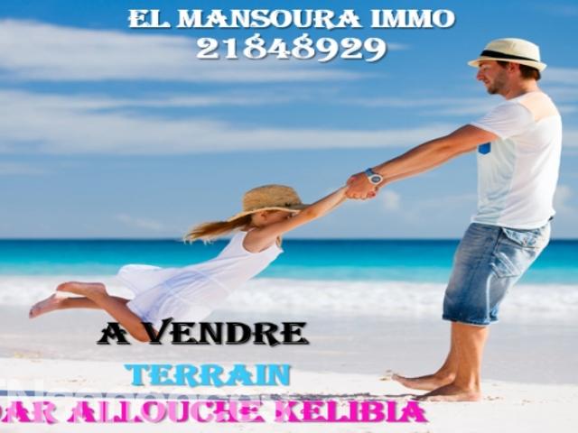 Terrain vente