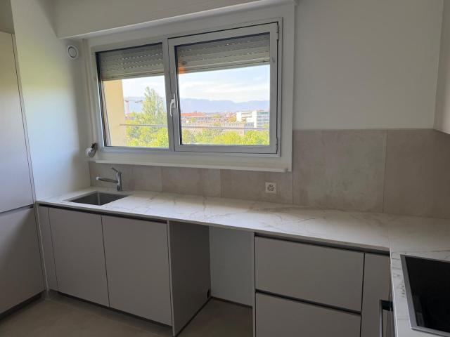 Apartment mieten in Carouge (GE)
