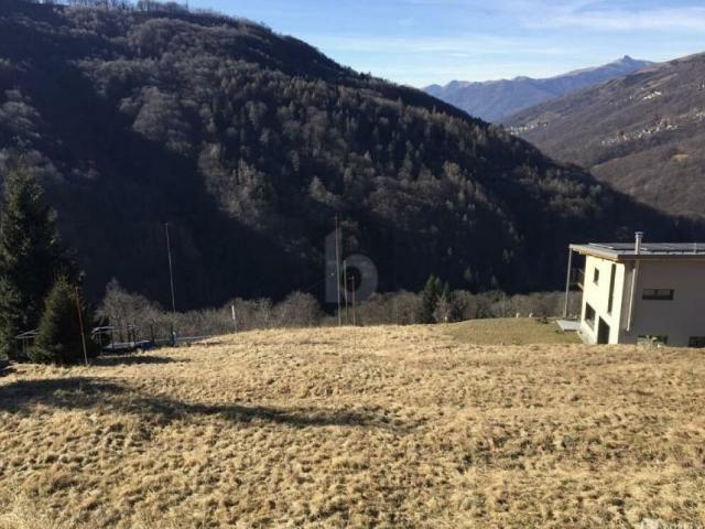 Immobilie kaufen in Aldesago, Tessin
