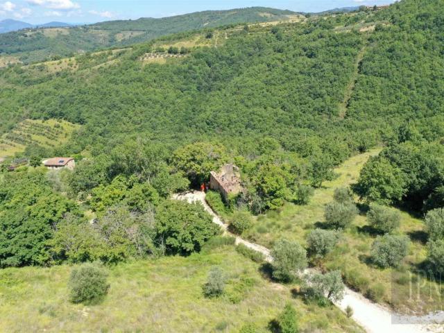 Locale Commerciale in vendita a Cenerente, Umbria