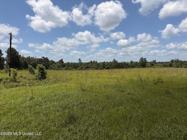 Land for sale in Mccomb, Mississippi