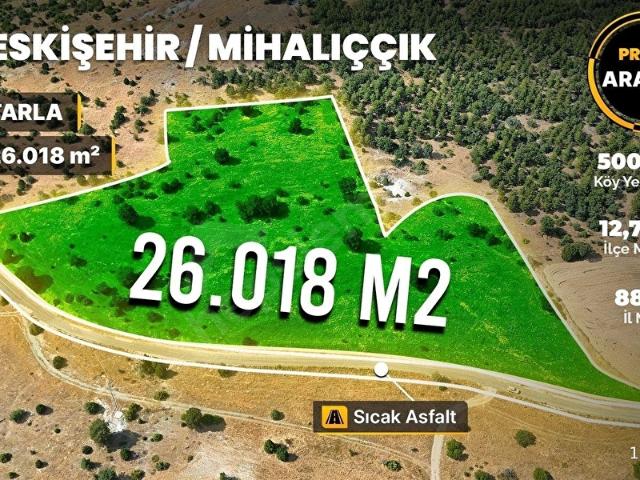 Mihaliççik, Eskişehir içerisinde satılık mülk