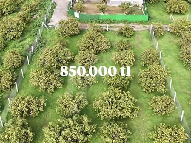 Menderes, İzmir içerisinde satılık mülk