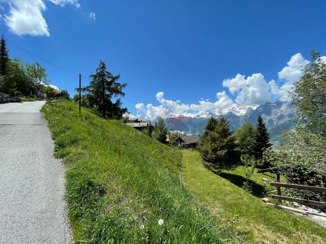 Immobilie kaufen in Baar, Nendaz, Wallis