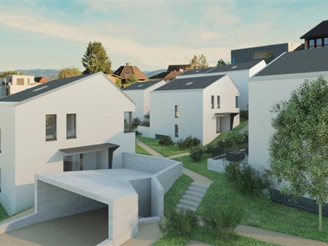 Einfamilienhaus kaufen in Blauen, Basel-Landschaft