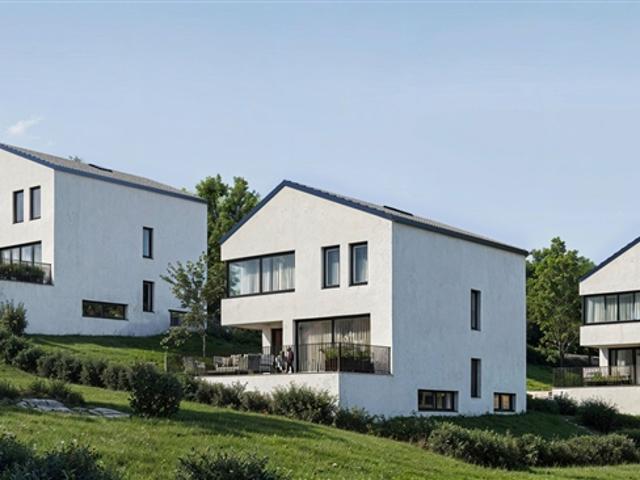 Einfamilienhaus kaufen in Blauen, Basel-Landschaft