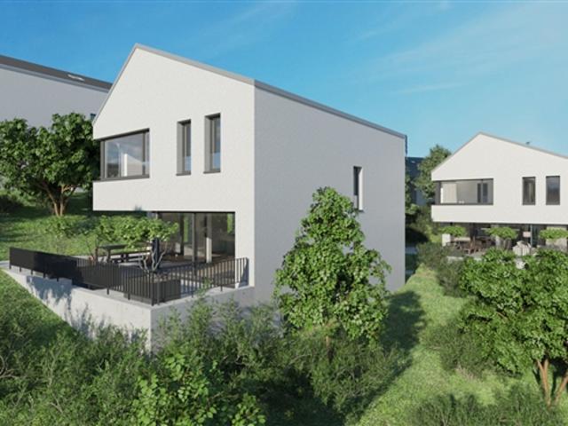 Einfamilienhaus kaufen in Blauen, Basel-Landschaft