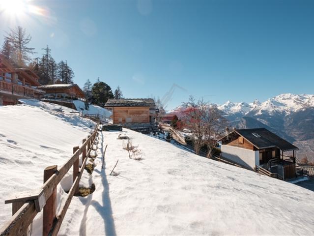 Wohnung kaufen in Haute-Nendaz, Wallis