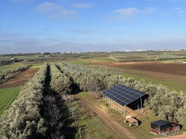 Propriété vente à Meknès