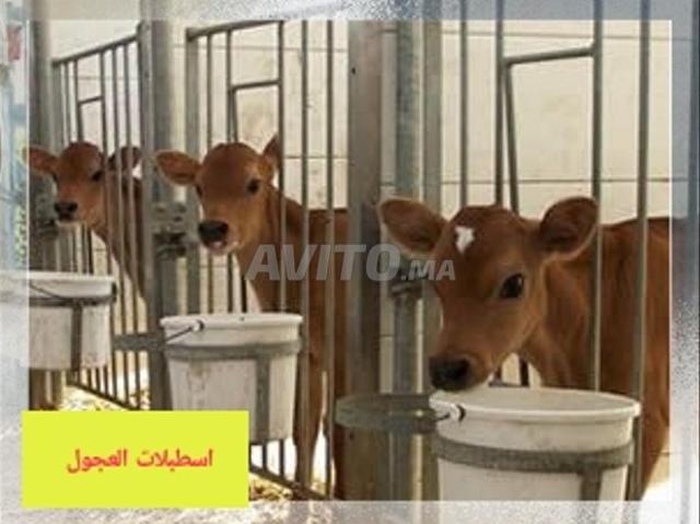 Propriété vente à Hay Riad, Berkane