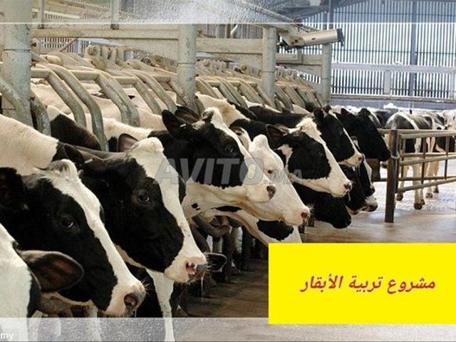 Propriété vente à Hay Riad, Berkane