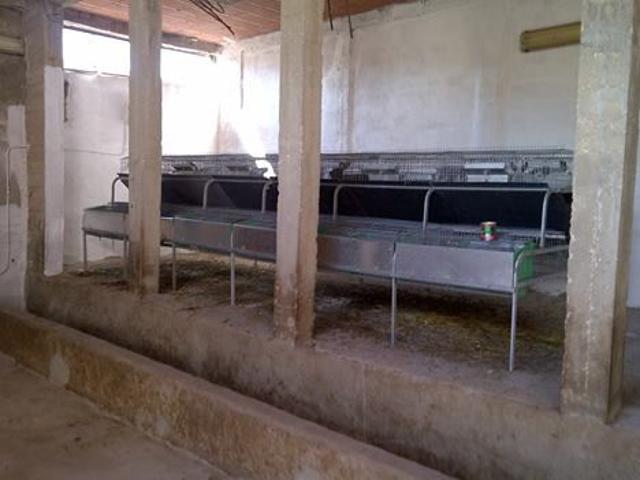 Ferme vente à Ben Arous